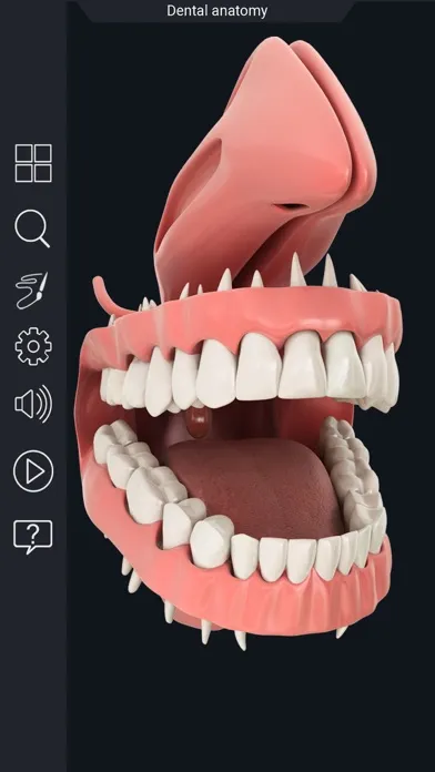 ภาพหน้าจอของ My Dental Anatomy